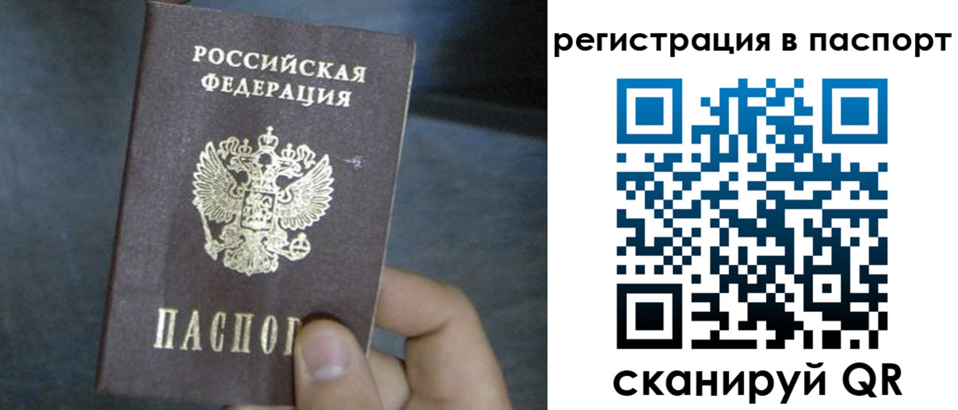 прописка 2025 в Семикаракорске